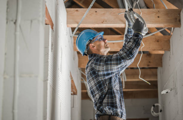 Best Ceiling Fan Installation Electrician  in Pea Ridge, FL